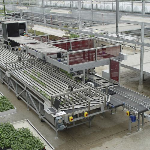 鉢植えの植物選別機 - Flier Systems - 自動