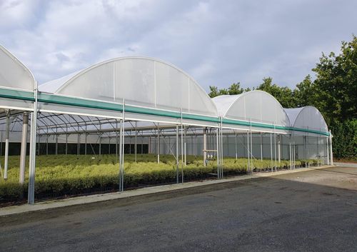 連棟型温室 - SERRE PROFESSIONNELLE HORTICOLE BALTIQUE - SERRES JRC - 苗用 / プラスチック製 / スチールフレーム