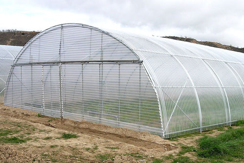 モノトンネル型温室 - T series - Ulma - 植物園 / プラスチック製