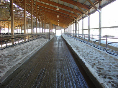 コンクリート製フロアマット - Accu-step - Comfort Hoof Care - 牛の飼育 / 滑り防止