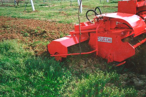 果樹園用回転除草機 - SI 2 series - Cucchi - ブドウの木用