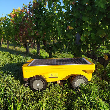 オフロード用営農型太陽光発電式ロボット - Vitirover All Terrain Robotic Mower - 除草 / 刈り取り / 自律型