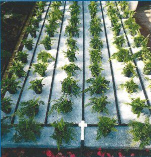 毛細管点滴潅漑システム - Capmat II Capollary Matting - Phytotronics Inc - マット