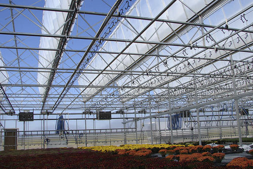 みい　ガラス温室 観賞用温室 - Rough Brothers Inc - ガラス製 / オープンルーフ