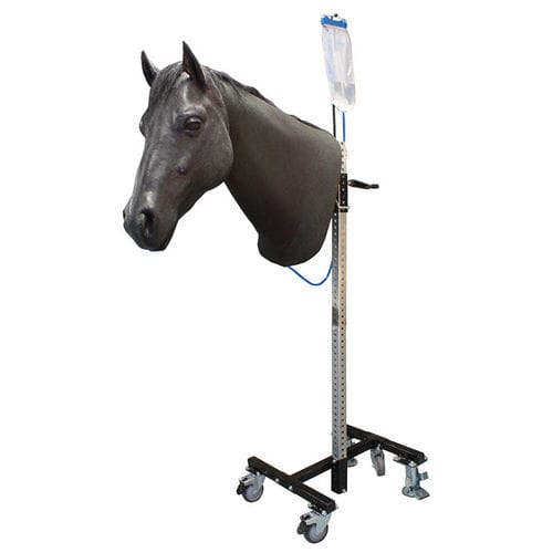 馬用動物シミュレーター - IM - Veterinary Simulator Industries Ltd. - 頭の