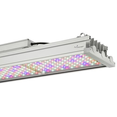 温室用ライト - ELETTRA - Ambralight - 垂直成長システム / 芽出し室 / 花卉栽培用