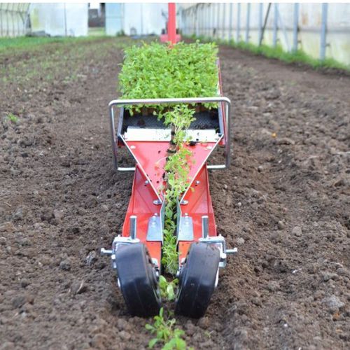 野菜用移植機 - T.CP.PL4 - Terrateck SAS - 手動式 / 1列 / 手押し型
