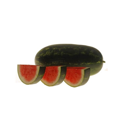早生スイカの種 - Arcadia - Hollar Seeds - 炭疽病抵抗性 / 耐フザリウム属菌抵抗性