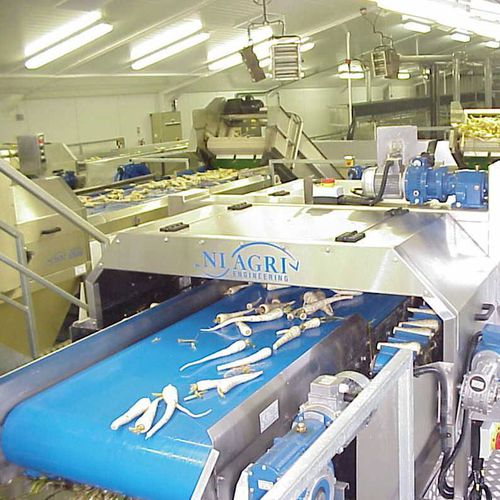 パースニップ作物洗浄機 - Niagri Engineering - 自動