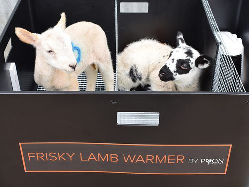 子羊温め器 - Frisky Lamb Warmer - Shearwell Data Ltd