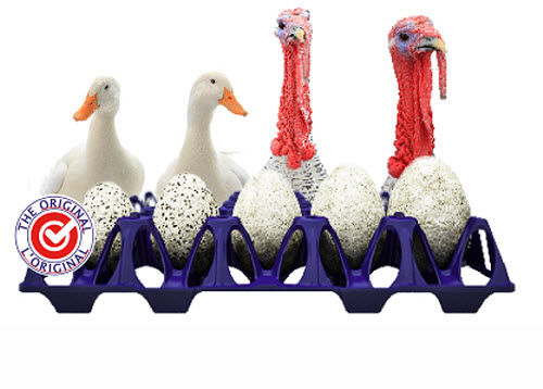 輸送用卵 トレイ - EggsCargoSystem® XL - GI-OVO B.V. - シチメンチョウ卵 / 鶏卵 / ガチョウ卵