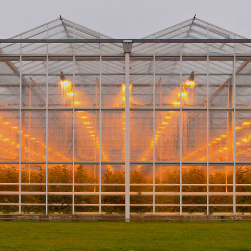 ガラス製温室 - J. Huete Greenhouses - トンネル型 / 困難な気候条件用