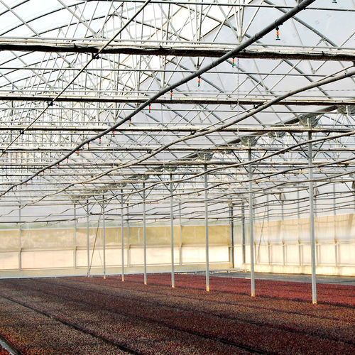 苗用温室 - J. Huete Greenhouses - トンネル型 / ガラス製