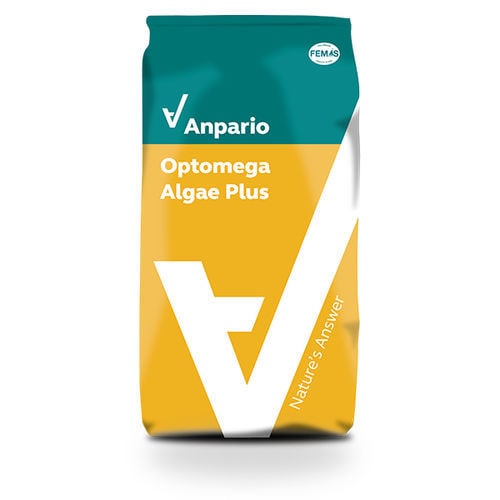 藻類べース飼料サプリメント - Optomega™ Plus - Anpario - 動物用 / 牛用 / 家禽用