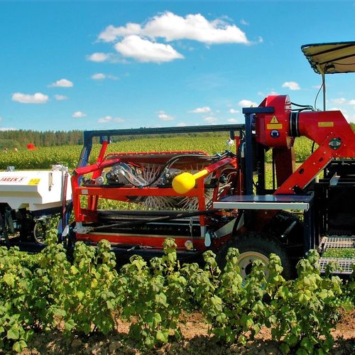 ラズベリー収穫機 - JAREK 5  - JAGODA JPS Agromachines - ベリー / クロフサスグリ / サスカツーン