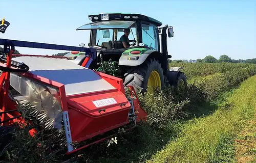 ys（収穫、作業用プラカゴ） 採集カゴ 容量22L : 日本農業システム - 通販 - Yahoo