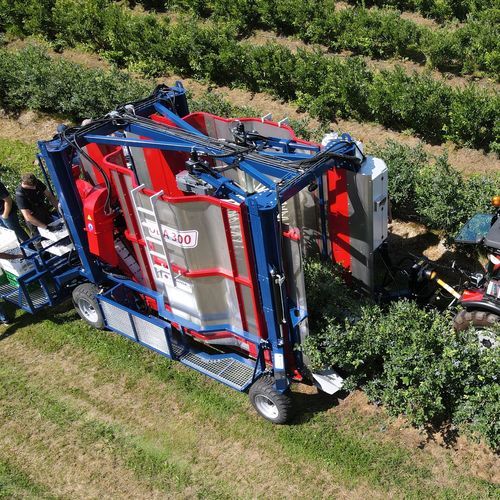 ブルーベリー収穫機 - 300 - JAGODA JPS Agromachines - ホホバ / 牽引式 / 1列