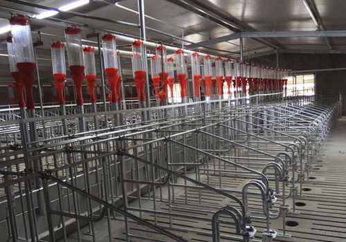 飼料用散布機 - Qingdao Deba Brother Machinery Co.,Ltd - 農舎用 / 自動