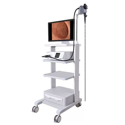 フレキシブル動物用内視鏡 - BVI-12  - bmv-vet - 小動物用 / 消化器用 / 携帯型