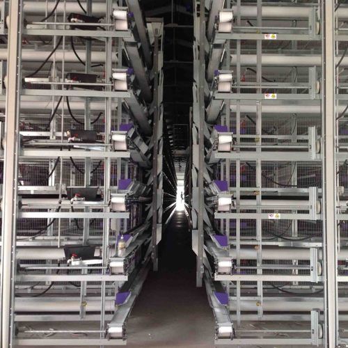 若い雌鶏の飼育システム - Space XXL - OMAZ