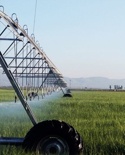 中央灌漑ピボット Opalpivot 移動式 車輪付き