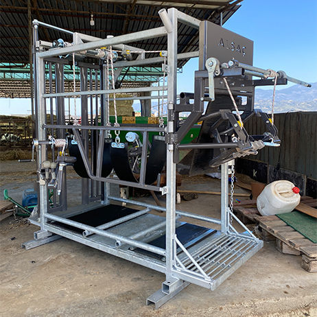 乳牛用家畜用固定ケ－ジ - MKT.1-G - ALSAC MAKINE - 蹄ケア