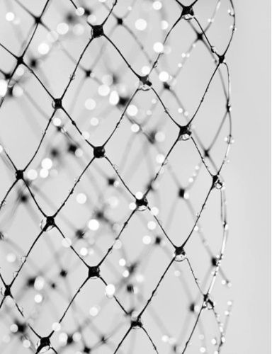 鳥よけネット - N0511 - AgriProTech - ポリエチレン