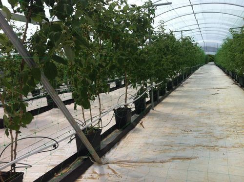 U字型灌漑溝 - TÉCNICAS SANJORGE SL