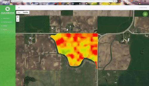 管理ソフトウェア - Augmenta Agriculture Technologies - モニタリング / 分析 / マッピング