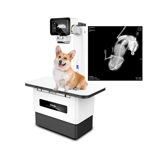 デジタル動物用X線装置 - RV-32B - Dawei Veterinary Medical (jiangsu) co., ltd. - 家畜用 / 固定型 / 台付き