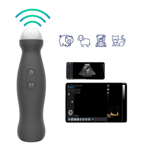 手持ち式動物用超音波装置 - Ultras - Dawei Veterinary Medical (jiangsu) co., ltd. - 犬用 / 羊用 / 豚