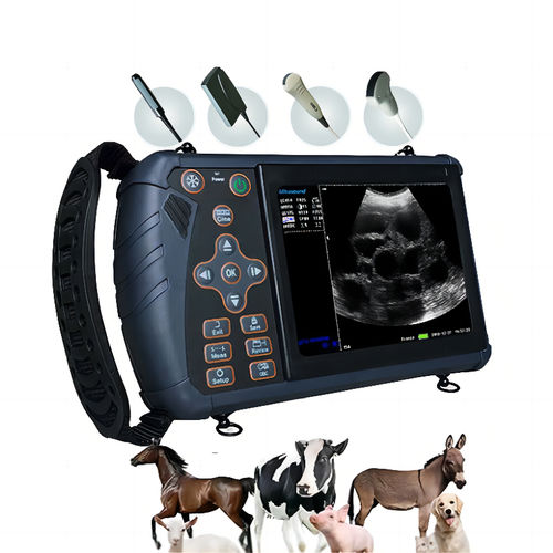 携帯型動物用超音波装置 - S1-VET - Dawei Veterinary Medical (jiangsu) co., ltd. - 大型動物用 / リニア / 凸面