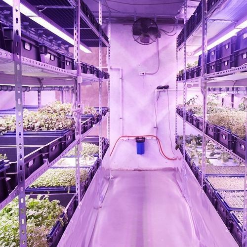 植物成長用芽出し室 - Resif Greenhouse Technologies - コンテナ型 / 縦型