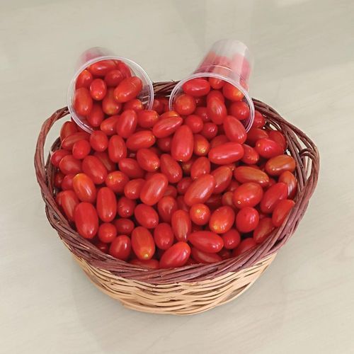 ミニトマトの種子　赤 - ORIGINAL - Manier Seeds - 円形