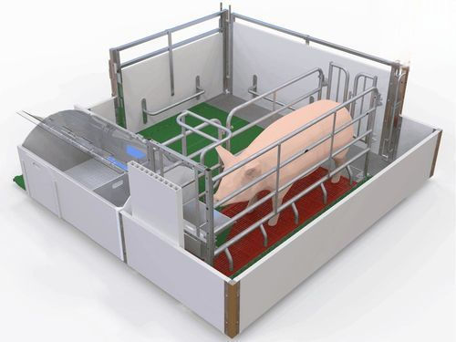 豚用分娩舎 - Pro Dromi® Liberté - Cooperl Northern Europe B.V.
