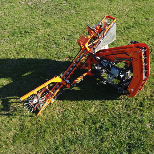 コンベア付き収穫機 - WERINEGN RVE-1 with transporter - Weringen - ニンジン用 / テンサイ / パースニップ