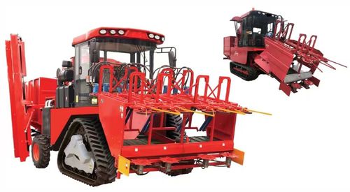 トウモロコシ用収穫機 - 4YZT-4/4C - EZ-Union Agrucultural Machinery Co.,Ltd.