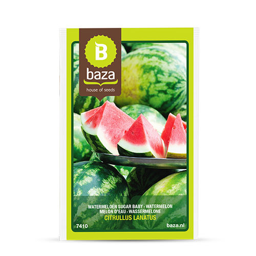 ハウス栽培用スイカの種 - 7410 - BAZA Seeds Holland b.v.