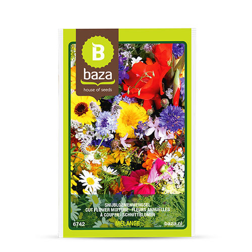 切断用花の種子 - 6742 - BAZA Seeds Holland b.v. - 1年生 / 多色 / 混合