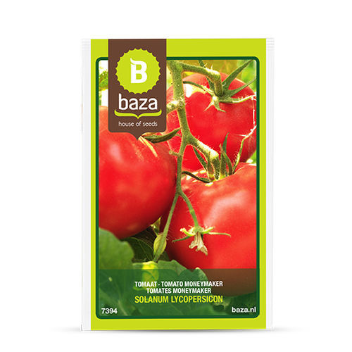 トマトの種子　赤 - 7394 - BAZA Seeds Holland b.v. - 円形 / ハウス栽培用