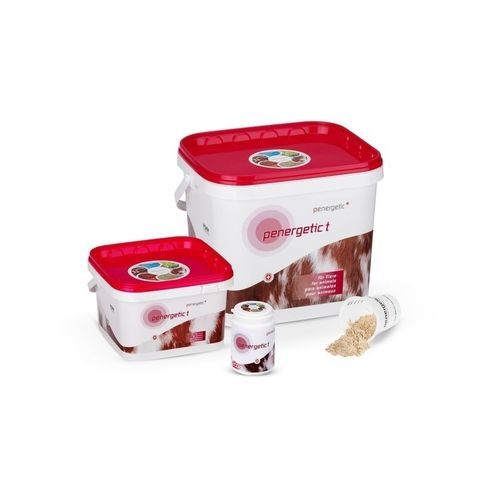 成長活性剤飼料添加物 - penergetic t - Penergetic International AG - 家禽用 / 豚用 / 牛用
