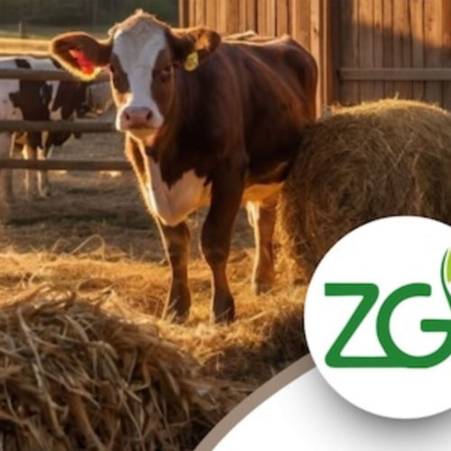 動物用飼料サプリメント - ZeoBedding - Green Zeolite Company - 牛用 / 家禽用 / 乾式