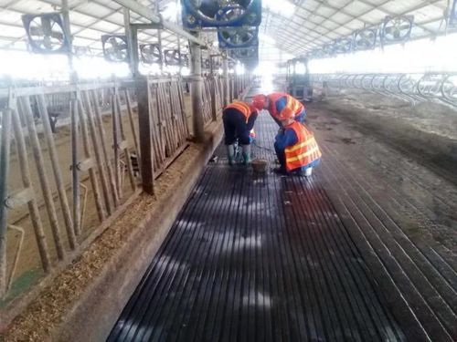 ゴム製フロアマット - Nanjing Bonzer Rubber & Plastic Co., Ltd. - 牛の飼育 / 滑り防止 / 溝付