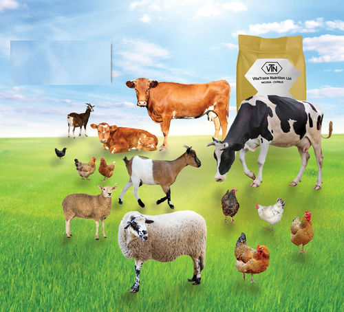 マイコトキシンバインダー飼料添加物 - MYCOBOND® - VitaTrace Nutrition Ltd - ペレットバインダー / 牛用 / 乳牛用