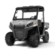 4x4 ATV / ガソリン式 / 2人用