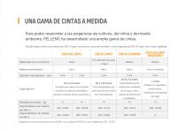 FOLLETO F3X-19