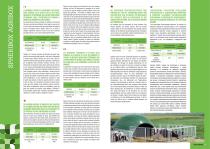 ANIMAL-FRIENDLY SHELTERS-2