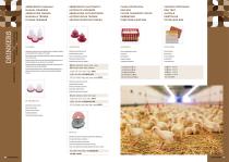 POULTRY DIVISION - 4