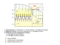 Manuale di funzionamento del AIRSEP - 3