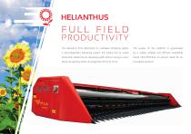 Helianthus - 2